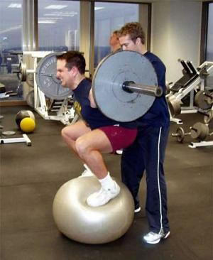 Image result for squatting on a bosu ball