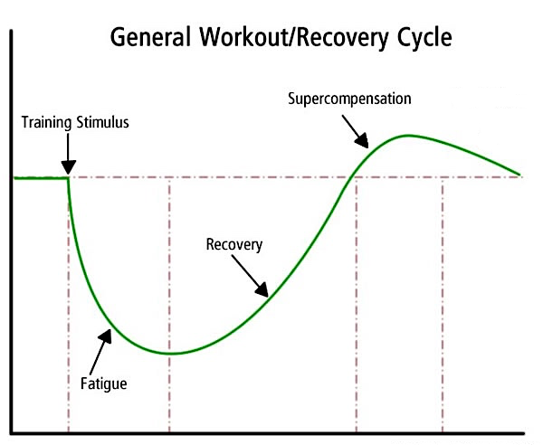 Image result for Training Progression: