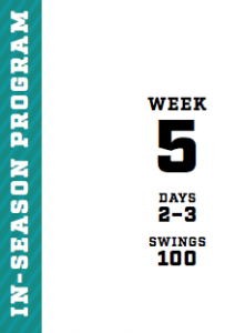 In-Season Hitting Program Example