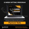 Driveline Hitting PlyoCare® Balls - Image 4