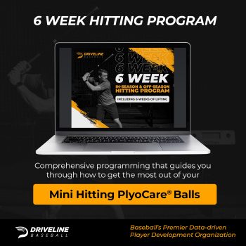 Driveline Mini Hitting Plyo Balls ® - Image 4