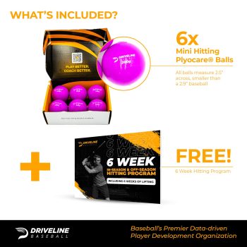 Driveline Mini Hitting Plyo Balls ® - Image 2