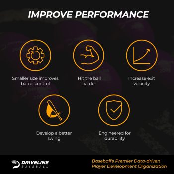 Driveline Mini Hitting Plyo Balls ® - Image 3
