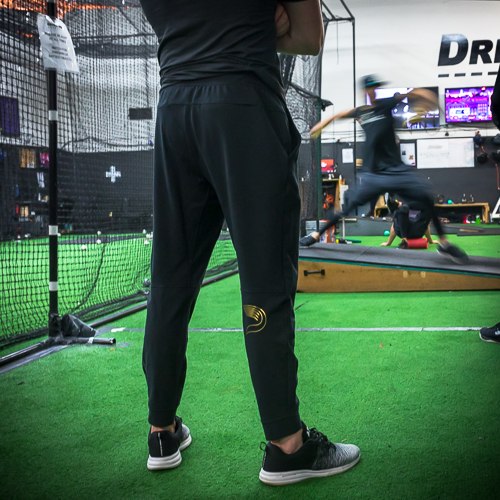 lululemon surge jogger 29