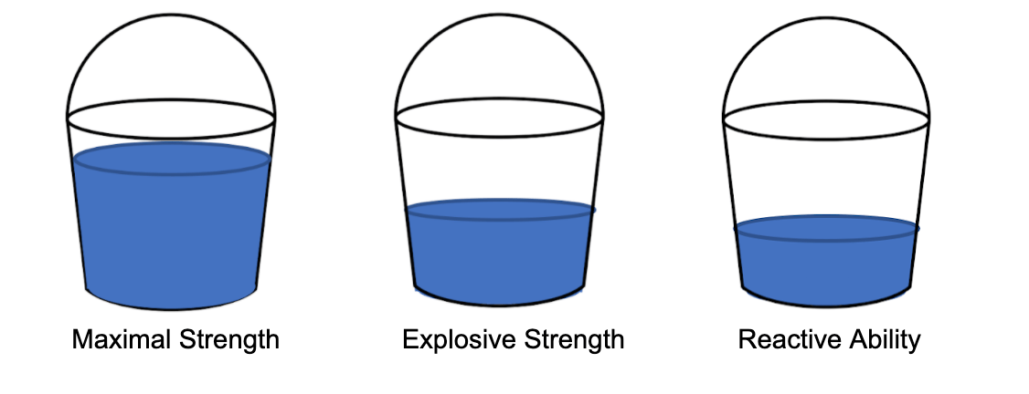 reactive ability, explosive strength, maximal strength 