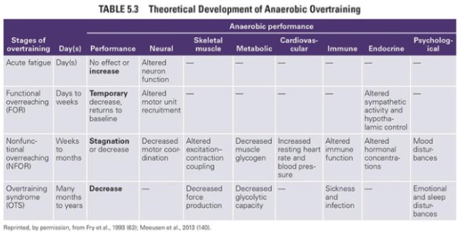 Anaerobic performance