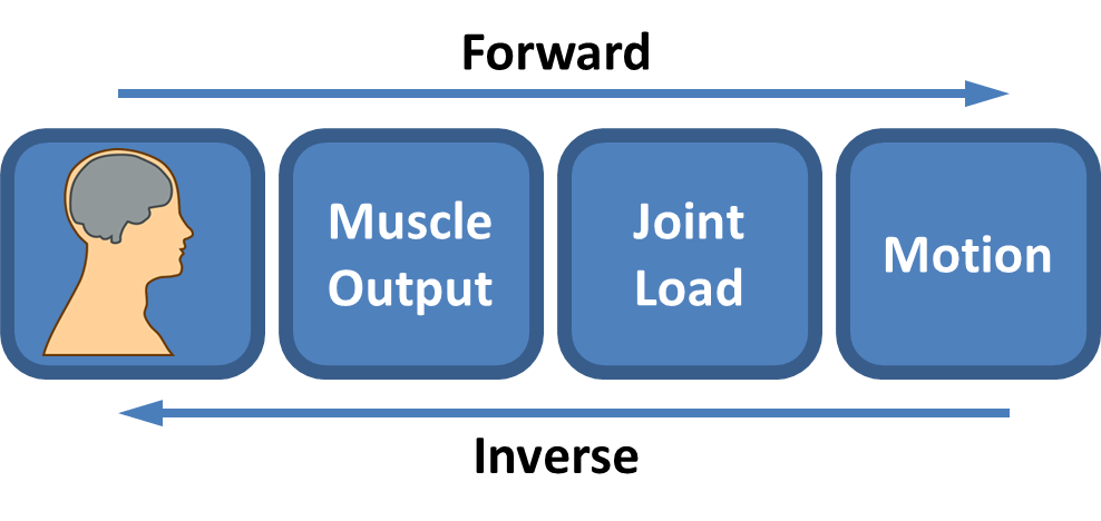 Forward Dynamics