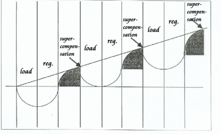 Idealcurve_medium