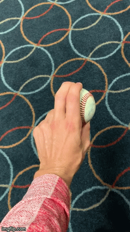 "SL 2" slider grip
