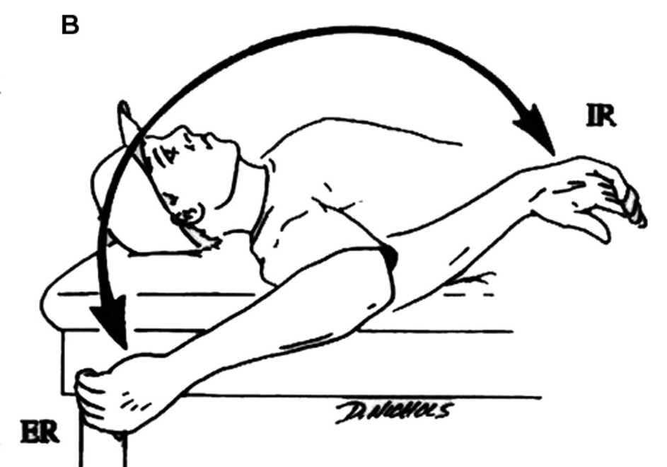 Internal Rotation vs. External Rotation