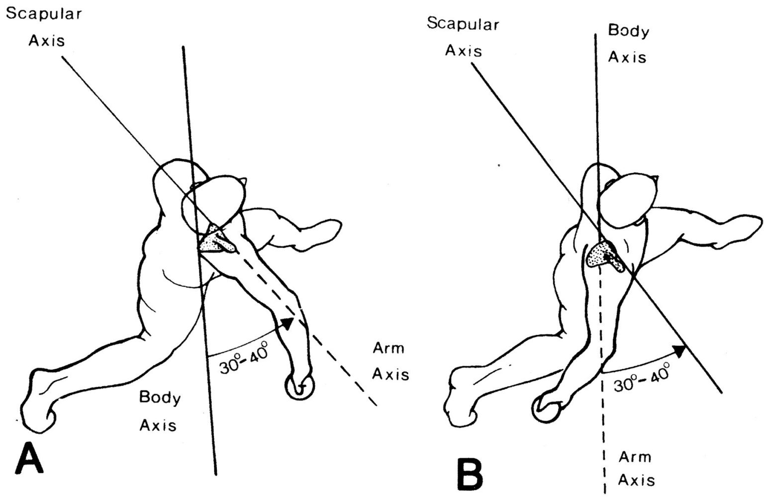 Kinematic Analysis Wrist to Elbow Relationship Driveline Baseball