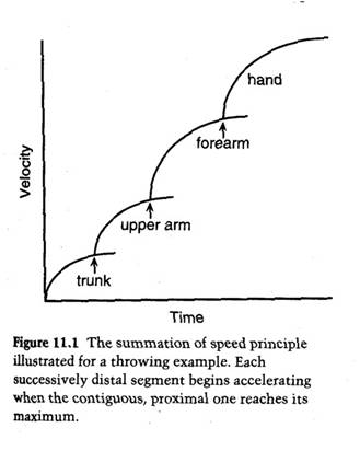 Summation of Speed