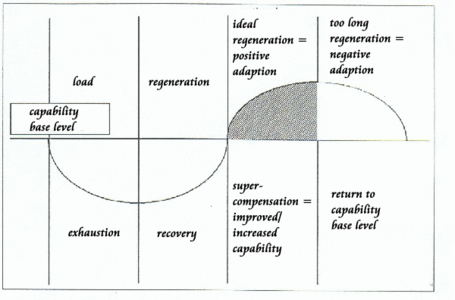 Supercompensation_medium