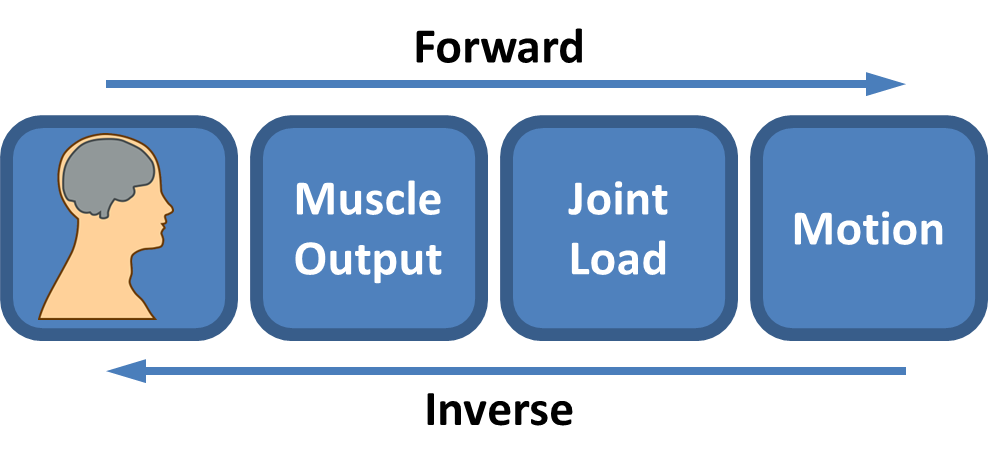 Forward Dynamics