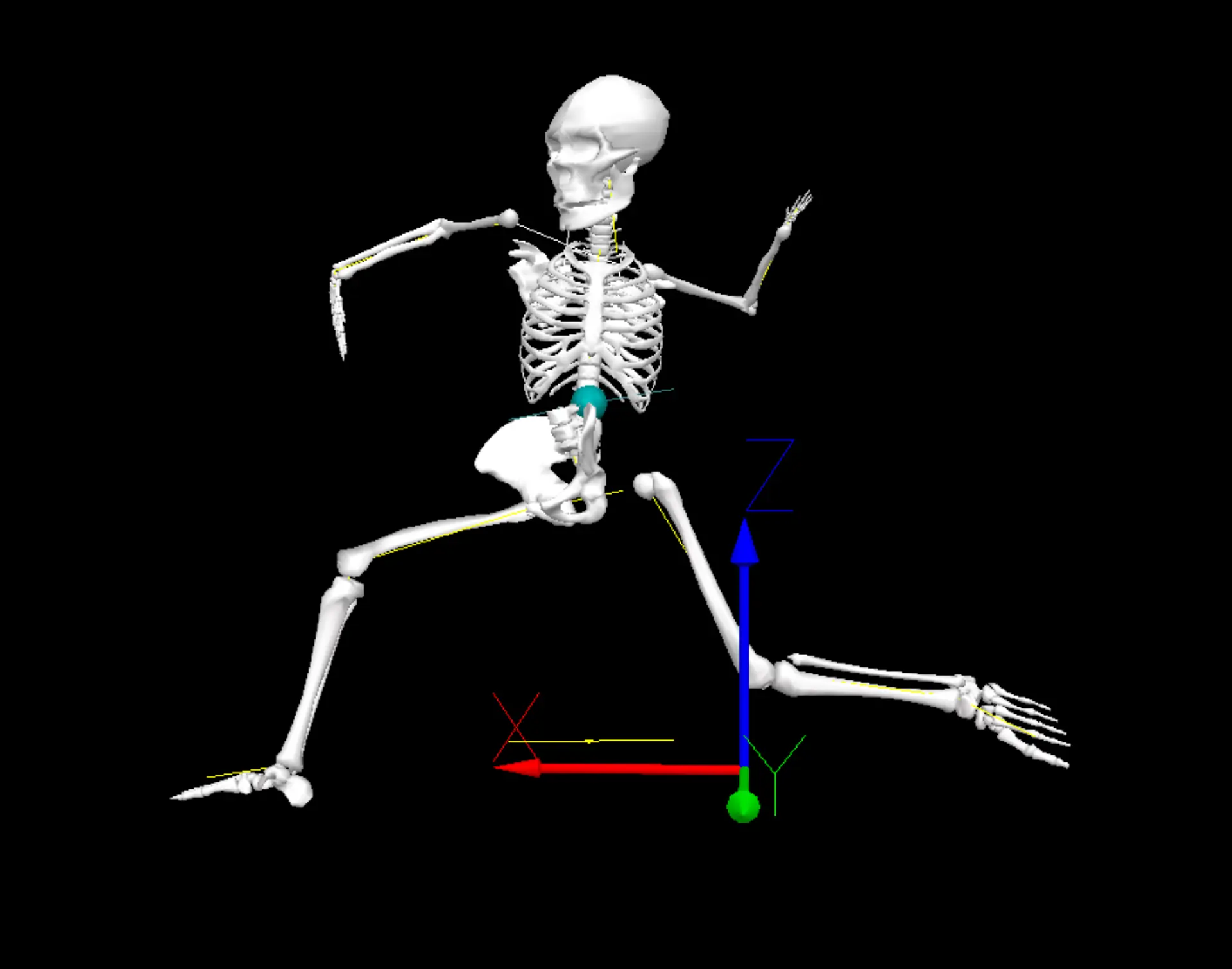 A Quantitative Analysis of the Lead Leg Block and its Contributions to ...