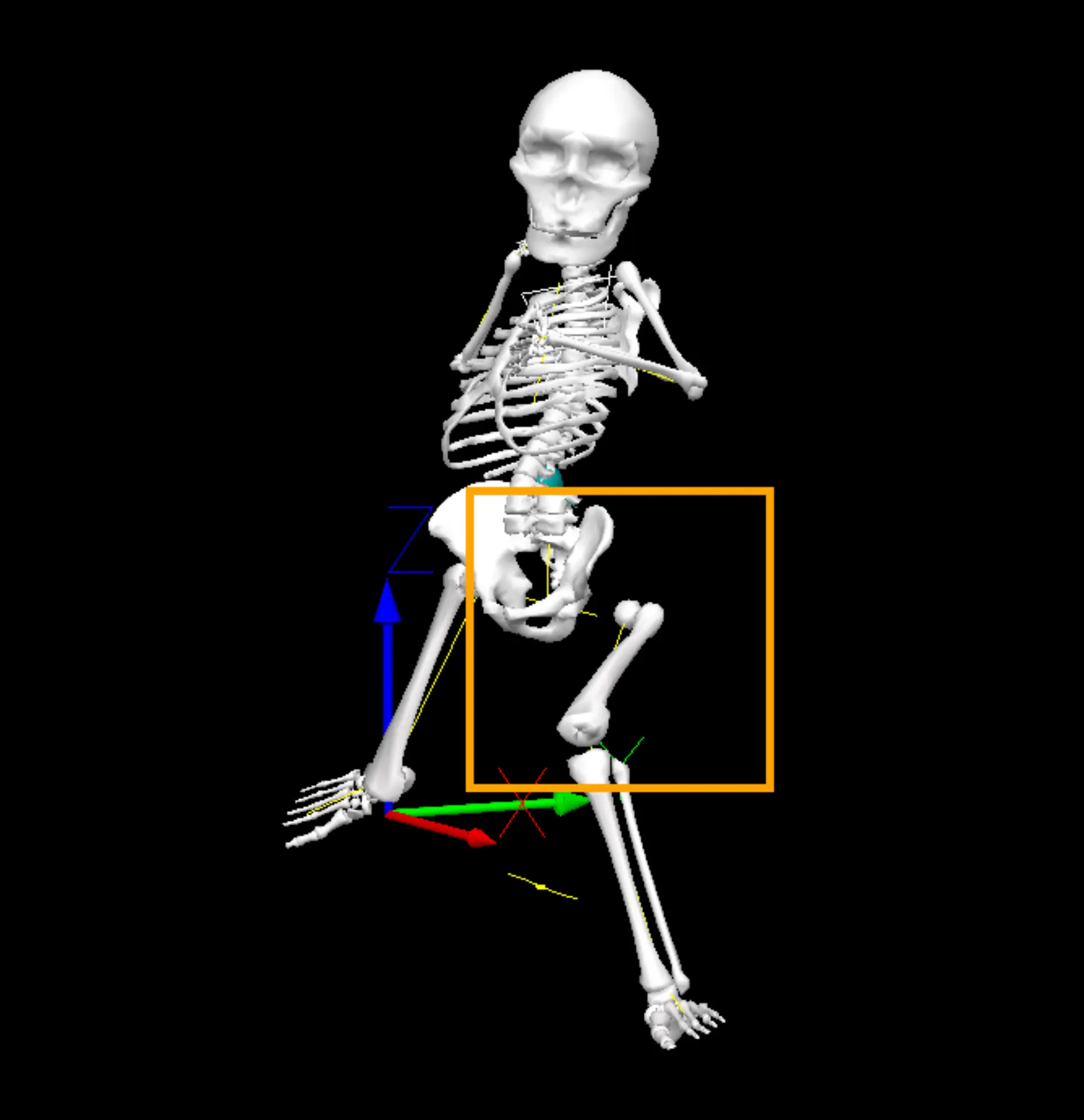 A Quantitative Analysis of the Lead Leg Block and its Contributions to ...