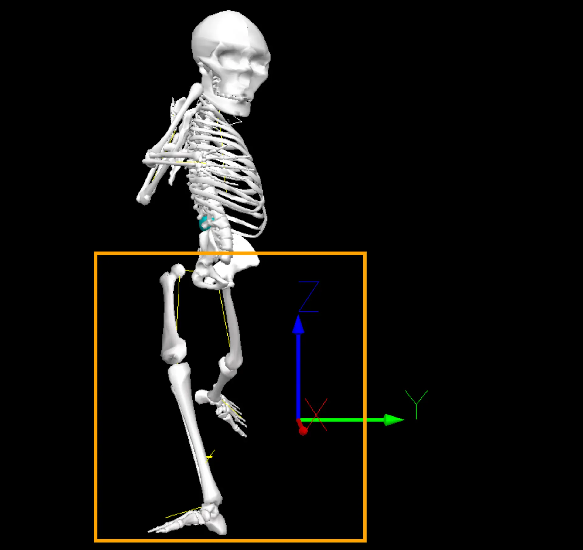 A Quantitative Analysis of the Lead Leg Block and its Contributions to ...