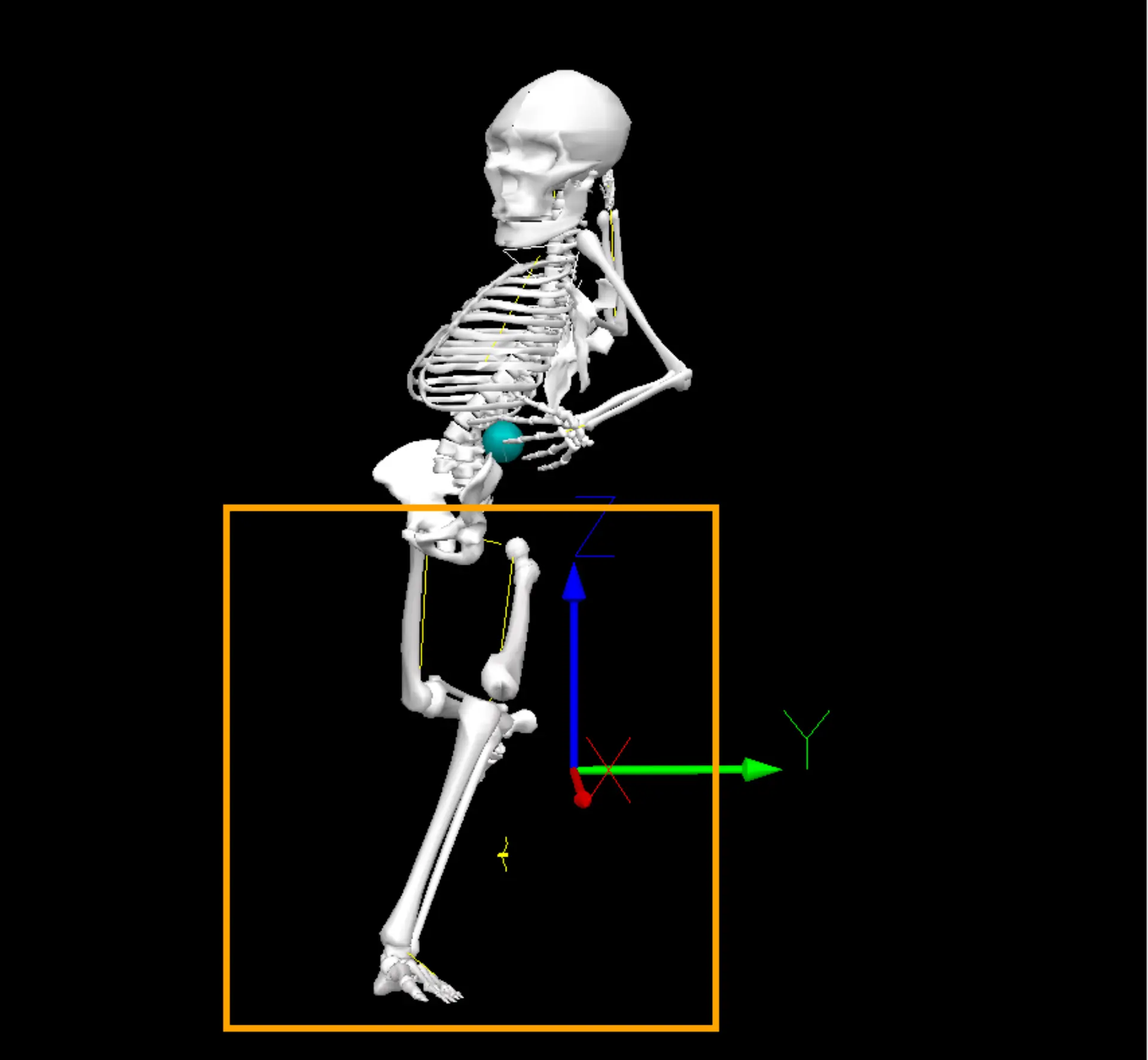 A Quantitative Analysis of the Lead Leg Block and its Contributions to ...